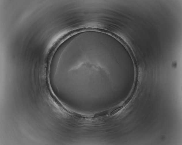 X0000116801115200912181311