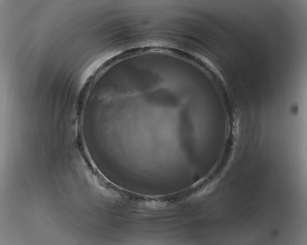 X0000116801117200912181311