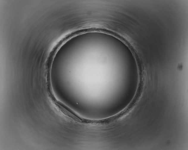 X0000116801118200912181311