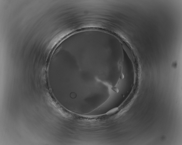 X0000116801121200912181311