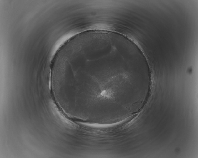 X0000116801123200912181311
