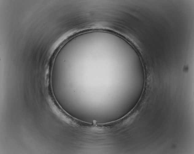 X0000116801126200912181311