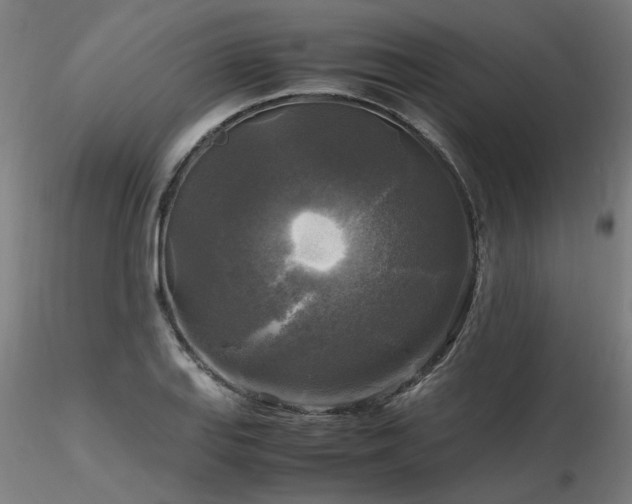 X0000116801127200912181312