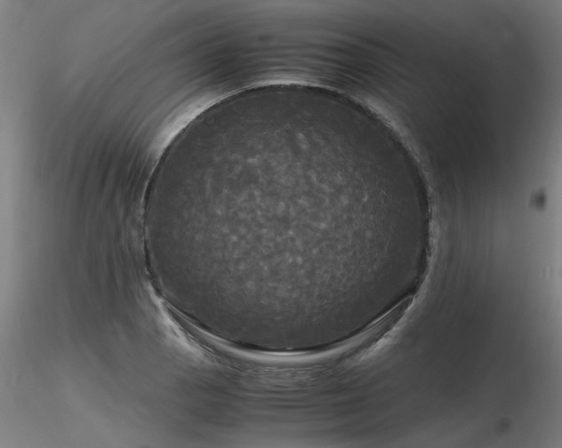 X0000116801129200912181312