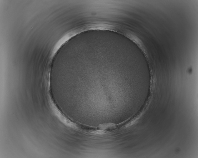 X0000116801130200912181312