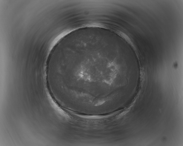 X0000116801133200912181312