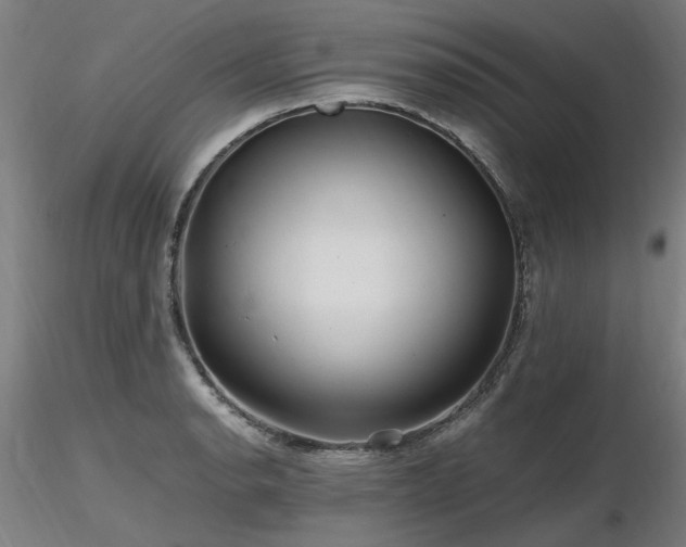 X0000116801134200912181312