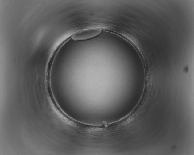 X0000116801135200912181312