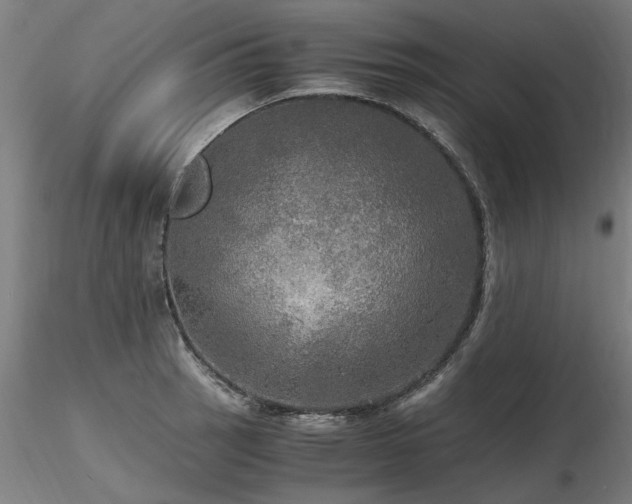 X0000116801137200912181312
