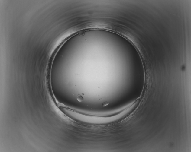 X0000116801139200912181312