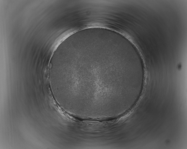 X0000116801145200912181312