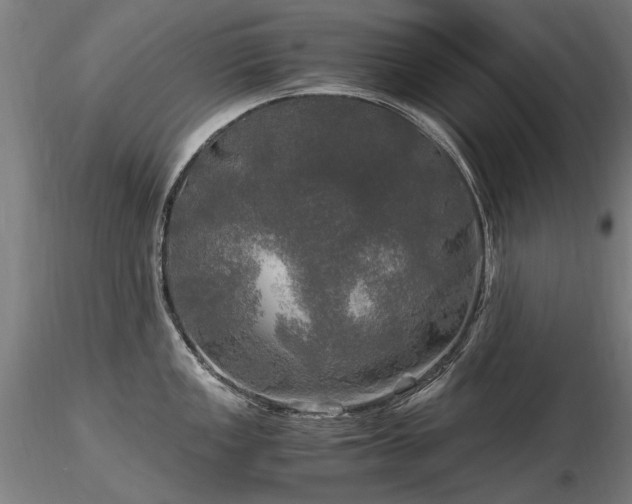 X0000116801149200912181312
