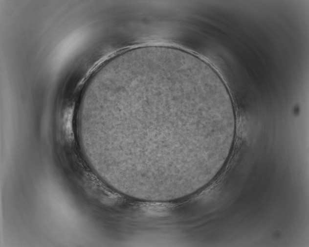X0000116801150200912181312