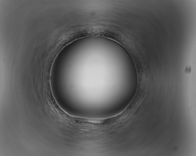 X0000116801153200912181311