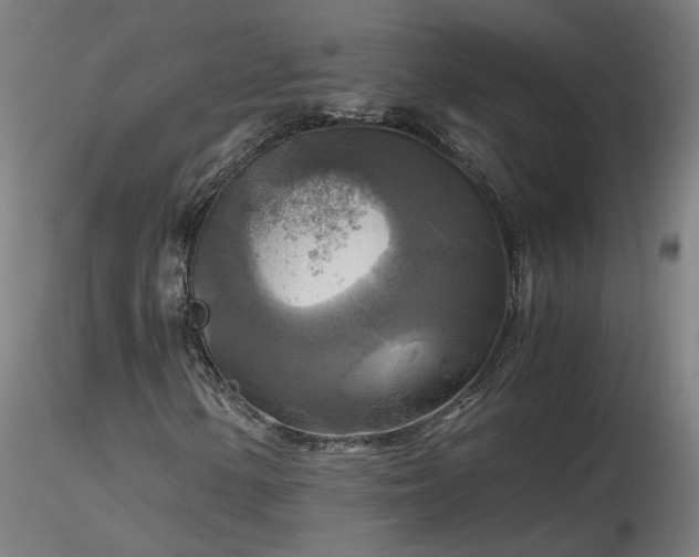 X0000116801154200912181311