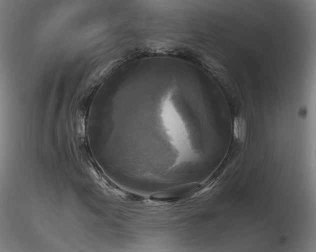 X0000116801155200912181311