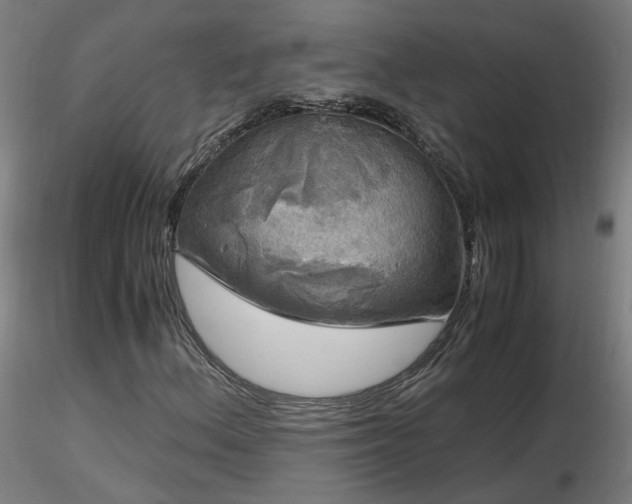 X0000116801156200912181311
