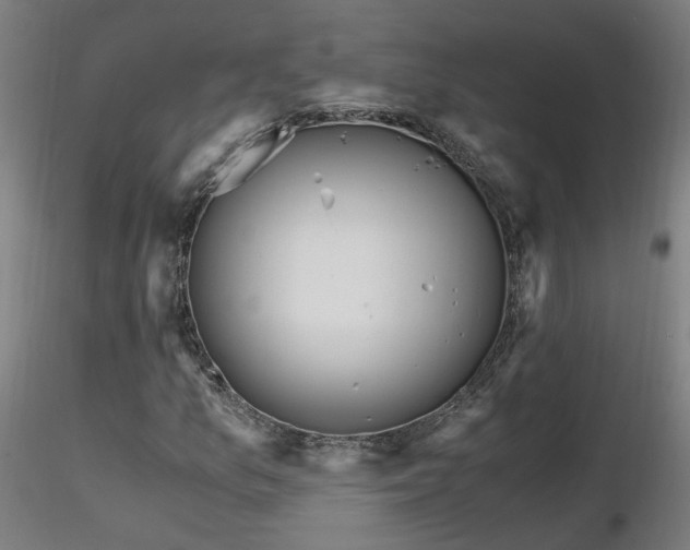 X0000116801157200912181311