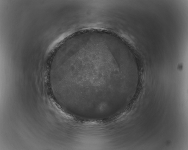 X0000116801159200912181311