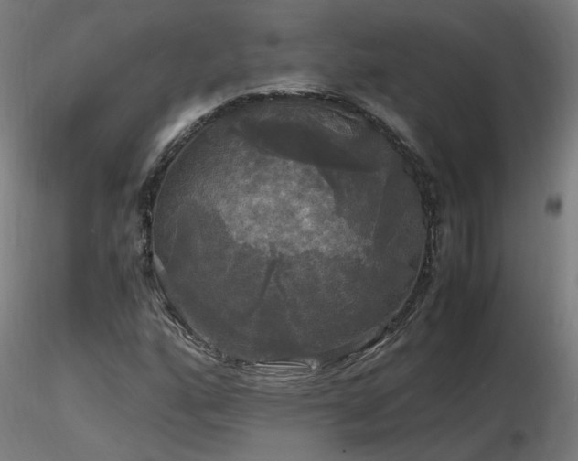 X0000116801160200912181311