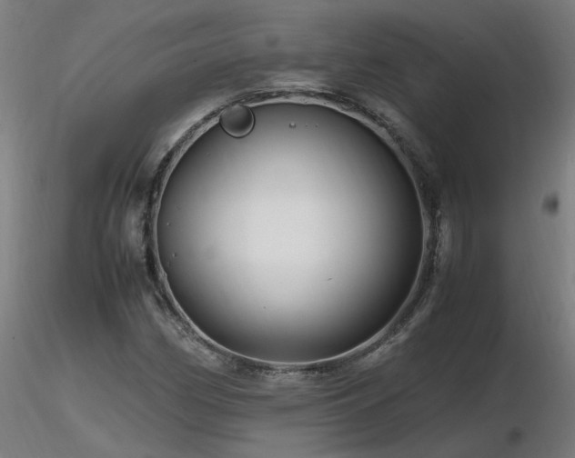 X0000116801162200912181311