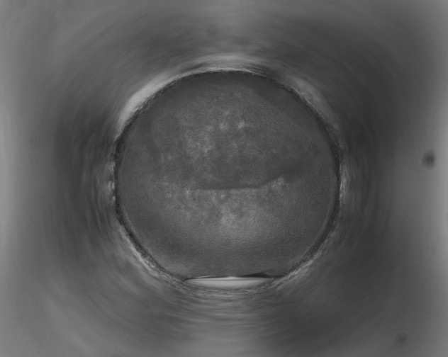 X0000116801164200912181311