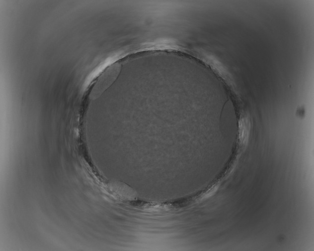 X0000116801165200912181311
