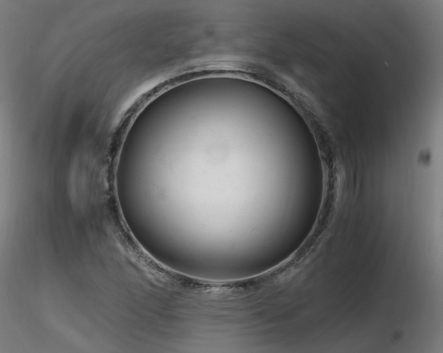X0000116801166200912181311