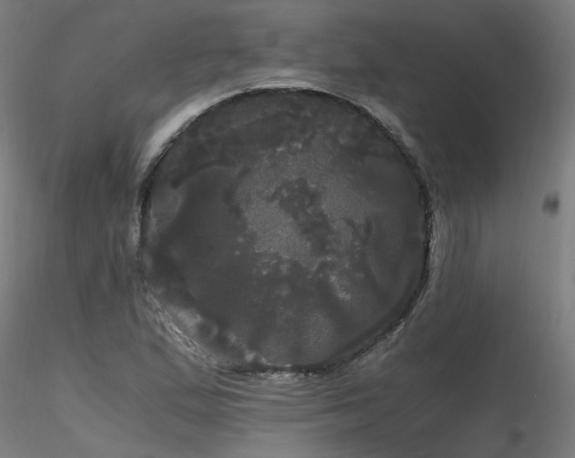 X0000116801167200912181311