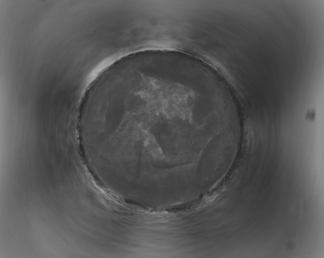 X0000116801168200912181311