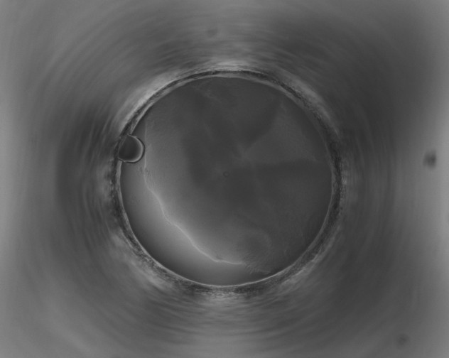 X0000116801170200912181311