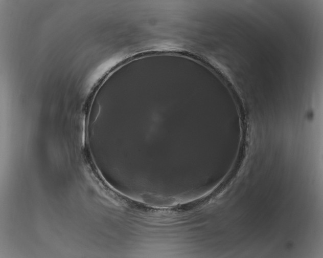 X0000116801171200912181311