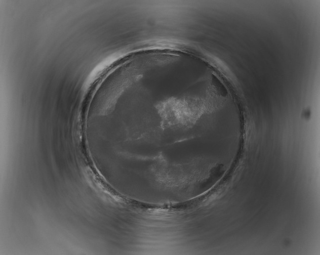 X0000116801172200912181311