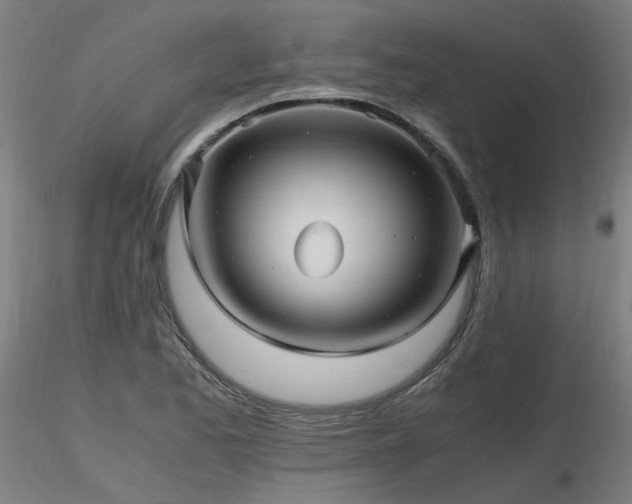 X0000116801173200912181311