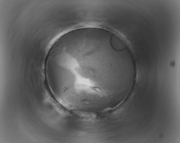 X0000116801174200912181311