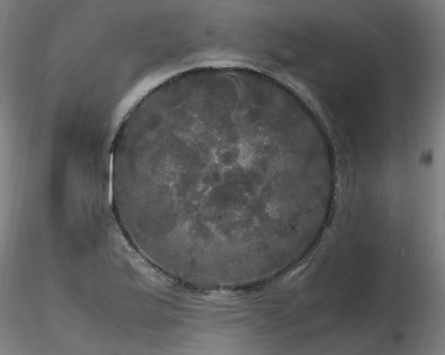 X0000116801175200912181311