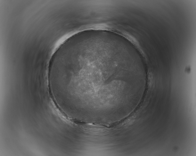 X0000116801176200912181311