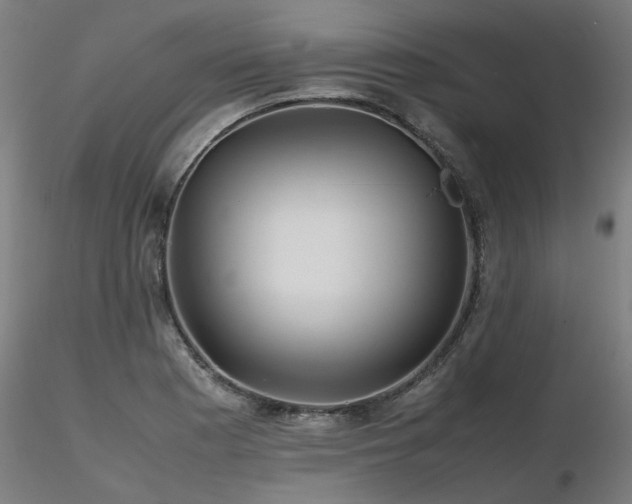 X0000116801177200912181311