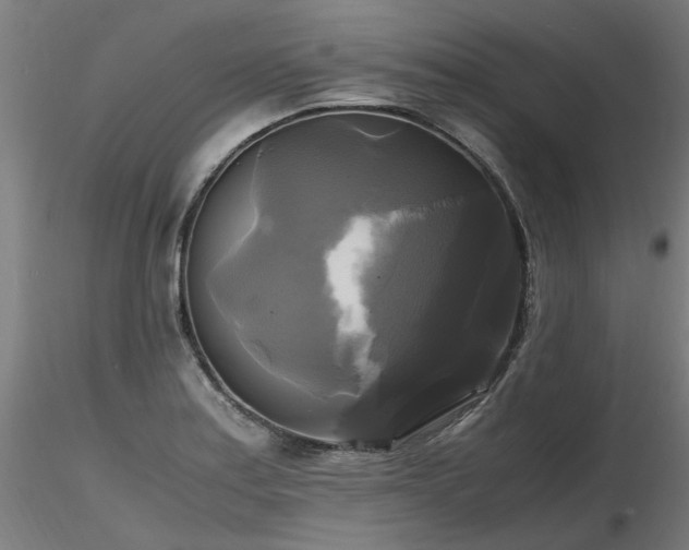 X0000116801179200912181311