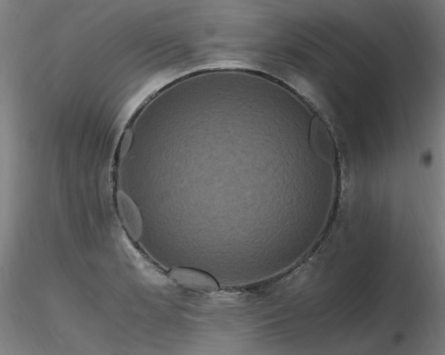 X0000116801181200912181311