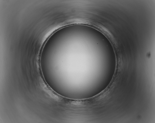 X0000116801182200912181311