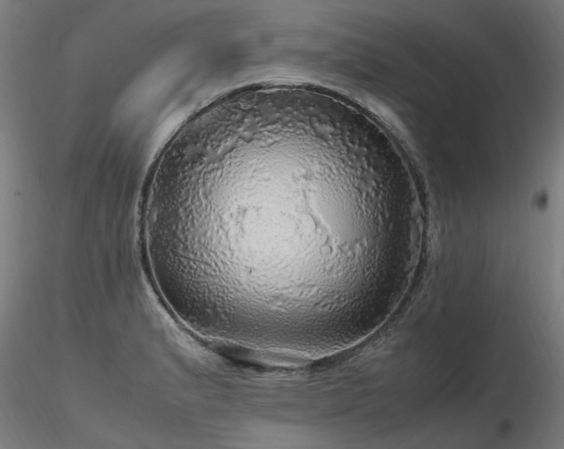 X0000116801183200912181311