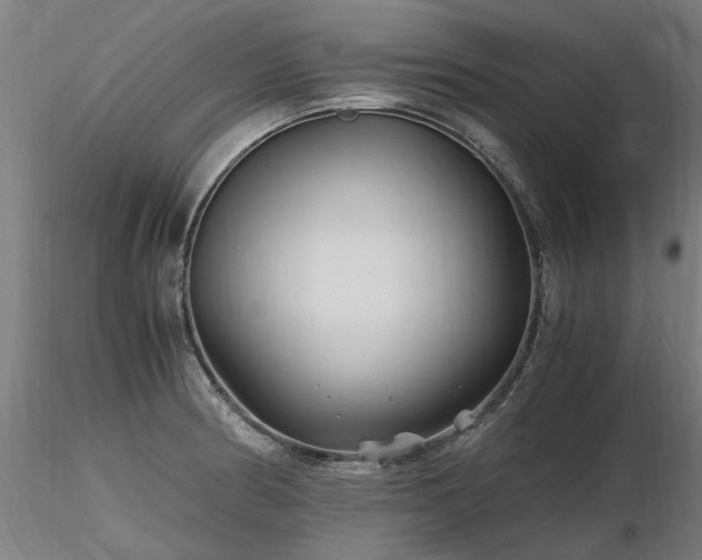 X0000116801186200912181311