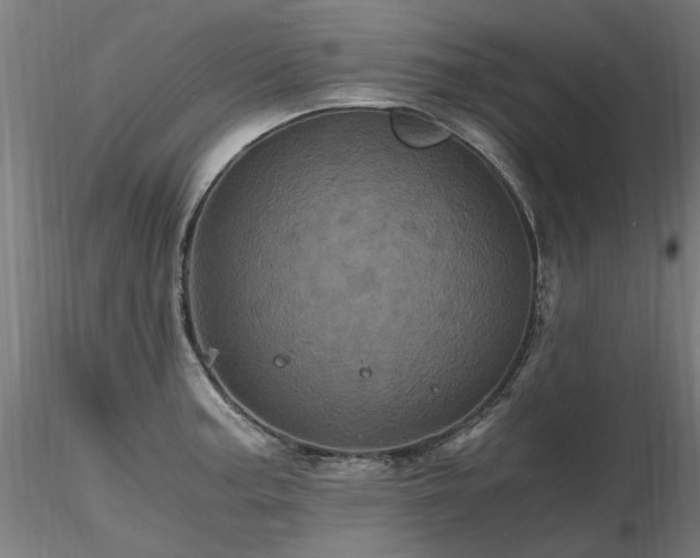 X0000116801187200912181311
