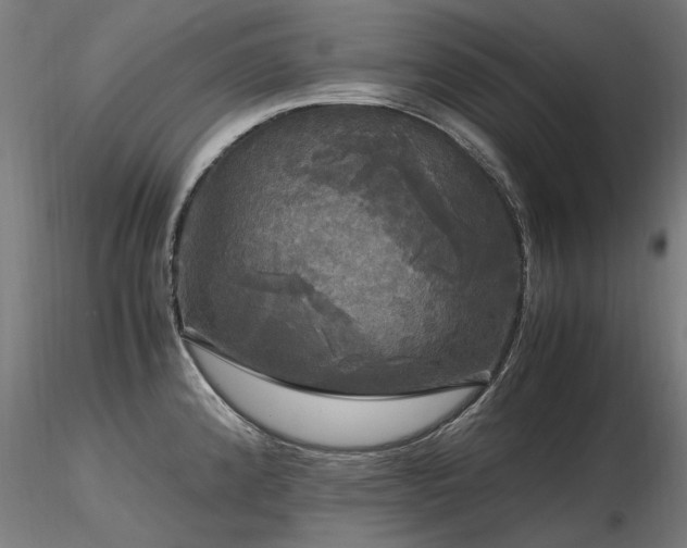 X0000116801192200912181310