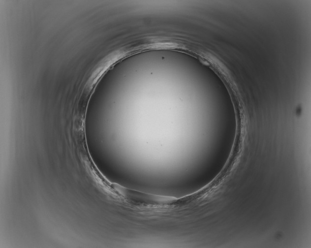 X0000116801193200912181310
