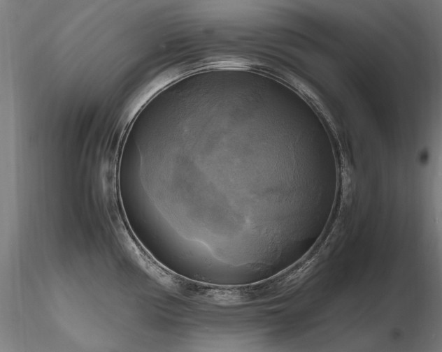 X0000116801194200912181310