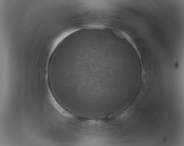 X0000116801195200912181310