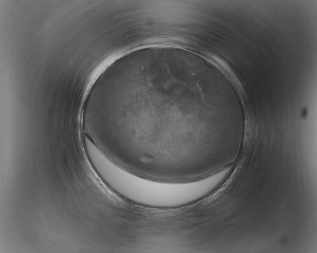 X0000116801196200912181310