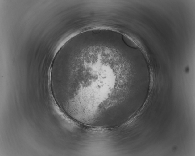 X0000116801198200912181310